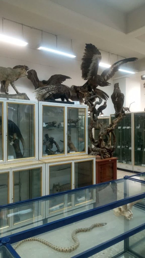 اردو های دبستان هوش مُرشد