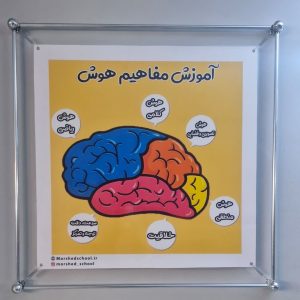 گزیده ای از کتابهای هوش کمپلکس ،هوش Et ، هوش اسمارتیز